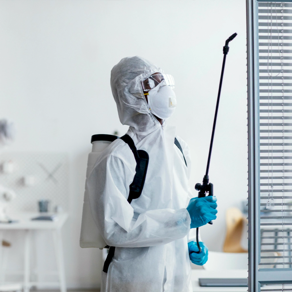 Tahta Kurusu İlaçlama